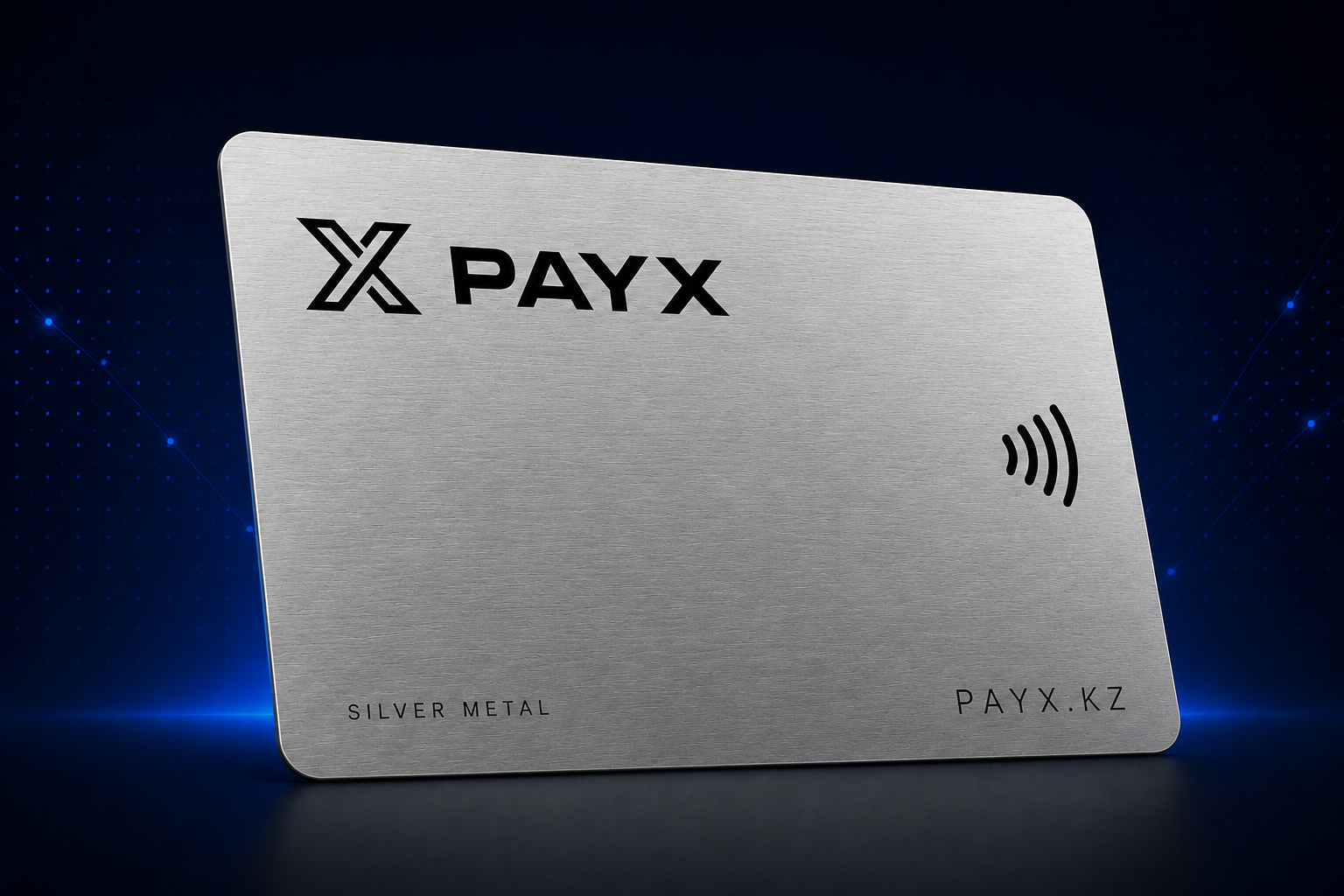 PayX Silver Card
